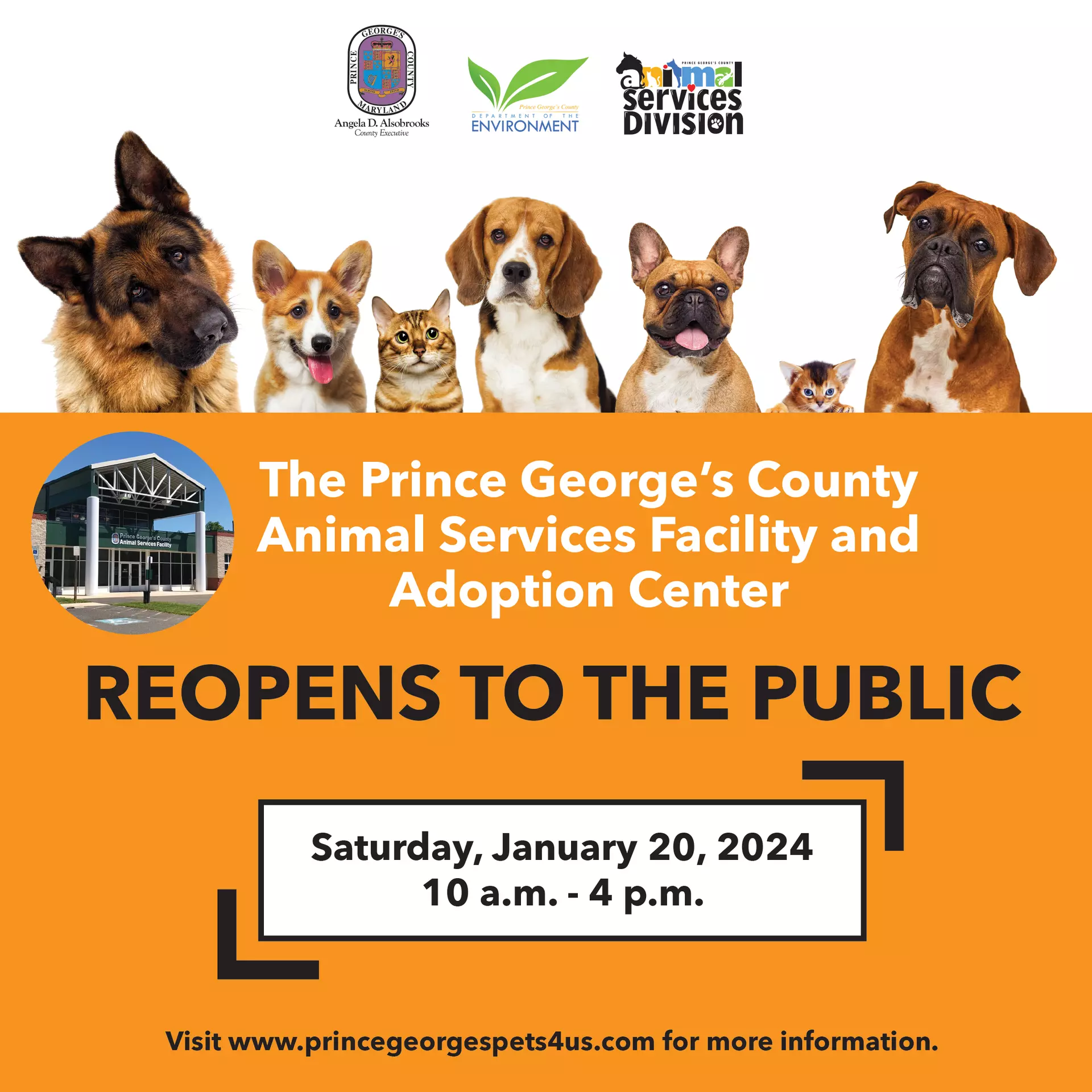 County Animal Shelter Reopens To The Public On Saturday January 20   Shelter Reopen 1.18.24 .webp